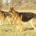 Parys i Tobi