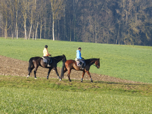 konny spacer w poludnie