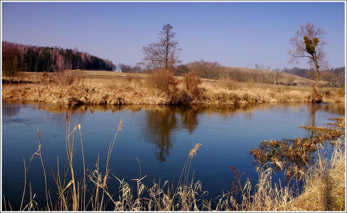 Rzeka Drwęca.