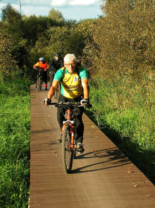 Germańska ściezka rowerowa przez tereny podmokłe