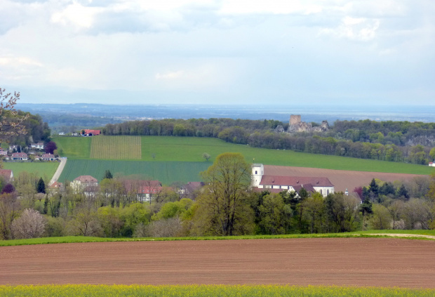 szwajcarskie pola