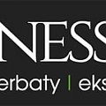 Logo Konesso.pl