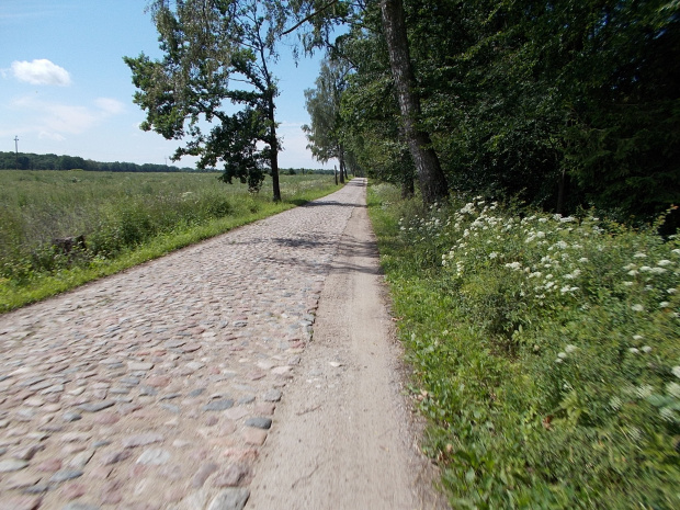 Odcinek Księżno-Bronki. 2 km bruku z normalnym poboczem na szczęście :-)