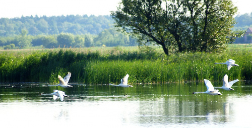 świętokrzyskie