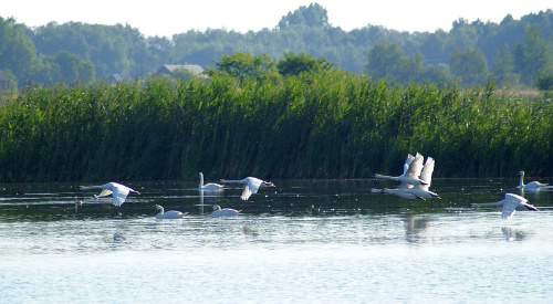 świętokrzyskie