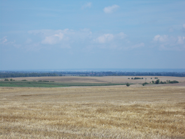 Panorama Elbląga z okolic Żuławki Sztumskiej