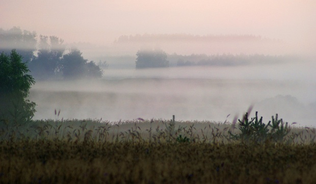 świętokrzyskie