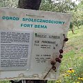 Fort Bema - ogródek społeczny