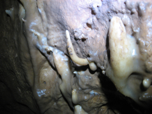 Rzadki stalaktyt rosnący w górę