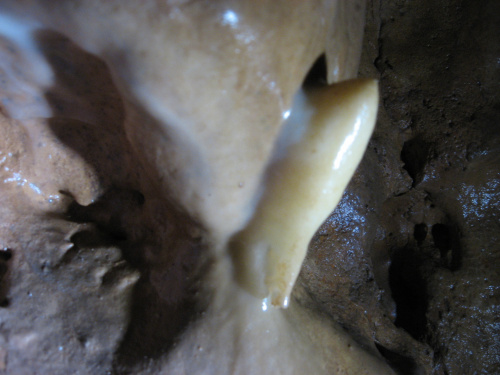 Skośny stalagmit