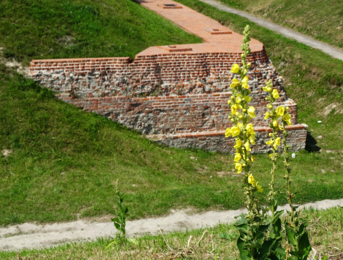 rekonstrukcjaa murów obronnych Zamoscia